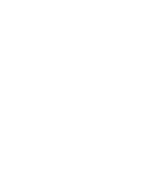 Logo en blanco del Camping Valle de Tena